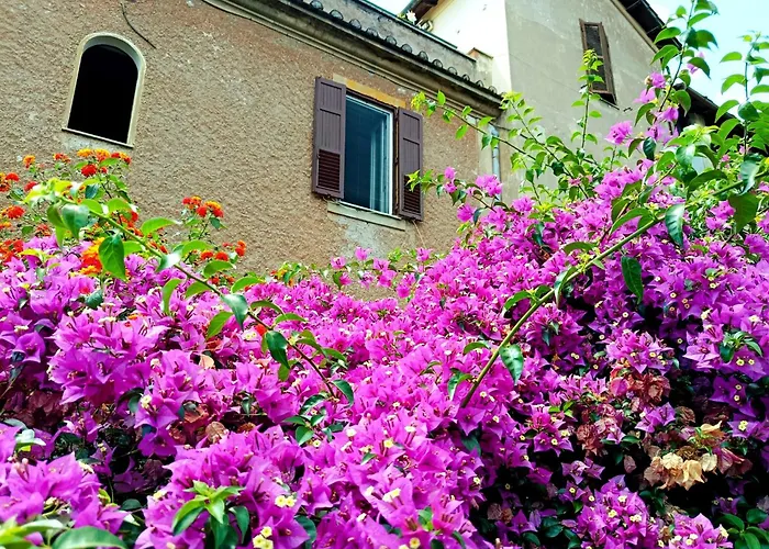 Tatil Evi Domus Margy Roma